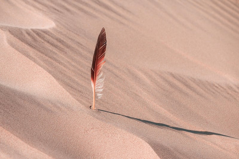 Arabian Desert