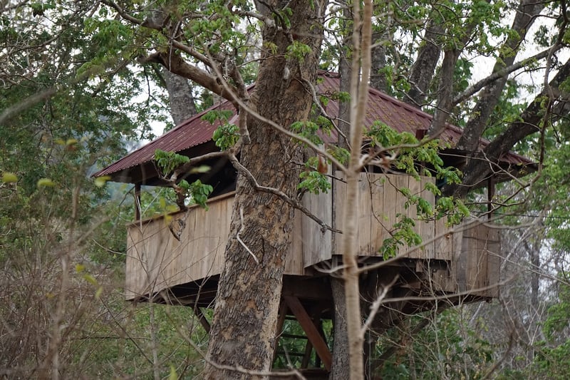 Treehouse Escape